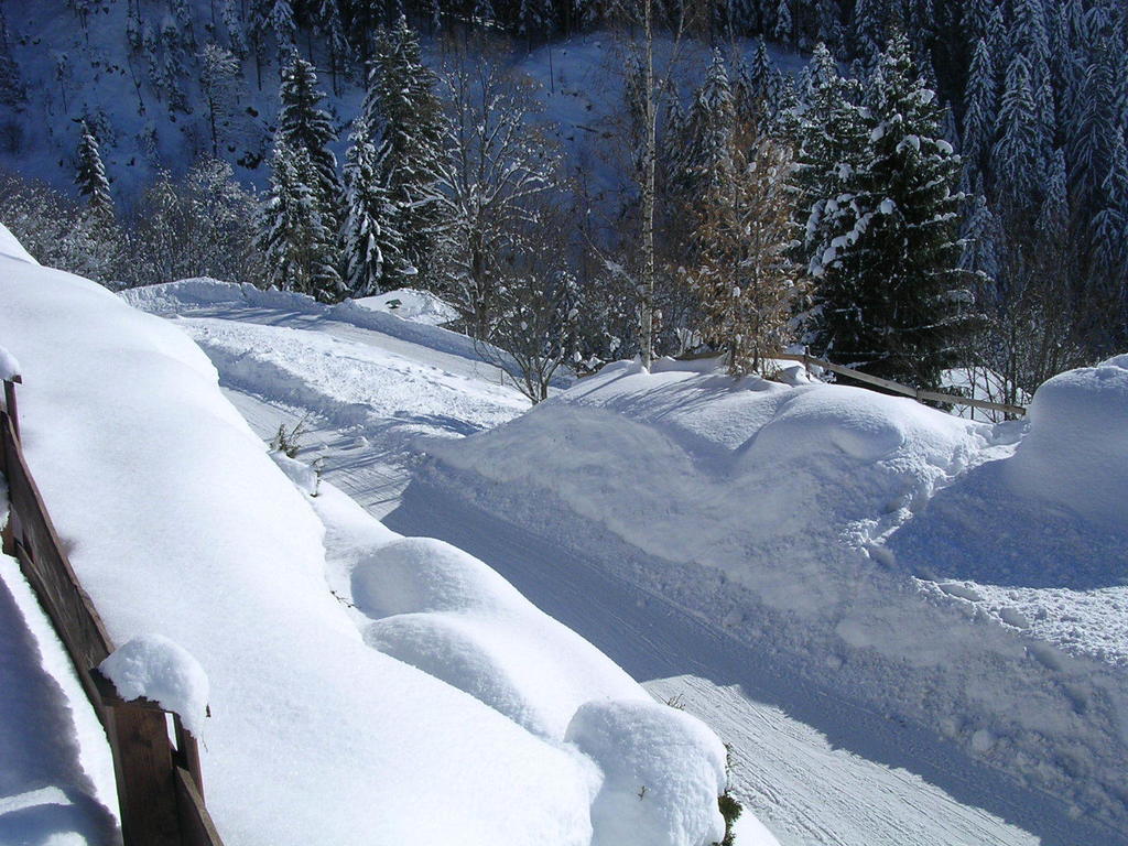 Appartement Oberschernthann Hopfgarten im Brixental Buitenkant foto